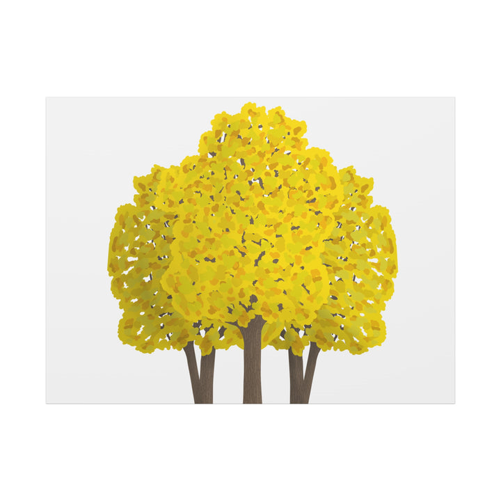Big Leaf Maple Canvas Print – Wall Art