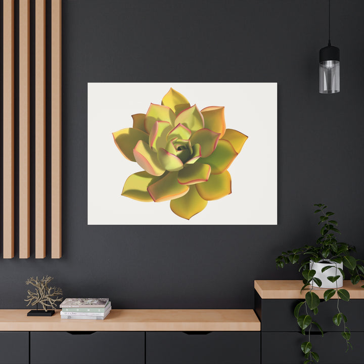 Noble Aeonium Succulent Canvas Wall Art Print for Modern Home Decor by The Potted Pixel