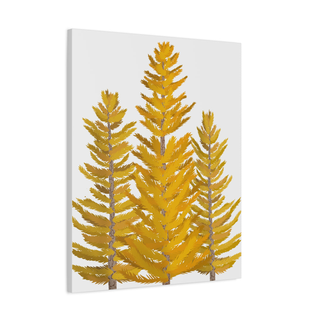 Western Larch Canvas Print – Wall Art