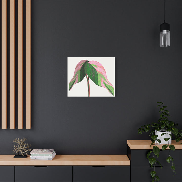 Pink Princess Philodendron Canvas Print Botanical Wall Art For Indoor Decor Modern Living Room Poster