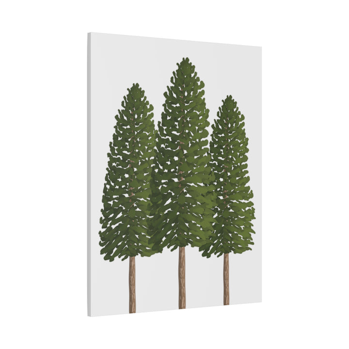 Three Ponderosa Pine Canvas Wall Art Matte Stretched Print Minimalist Forest Landscape Decor