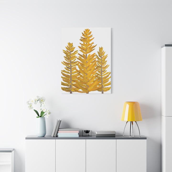 Western Larch Canvas Print – Wall Art