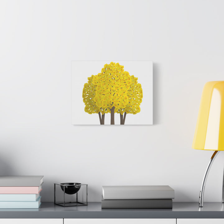 Big Leaf Maple Canvas Print – Wall Art