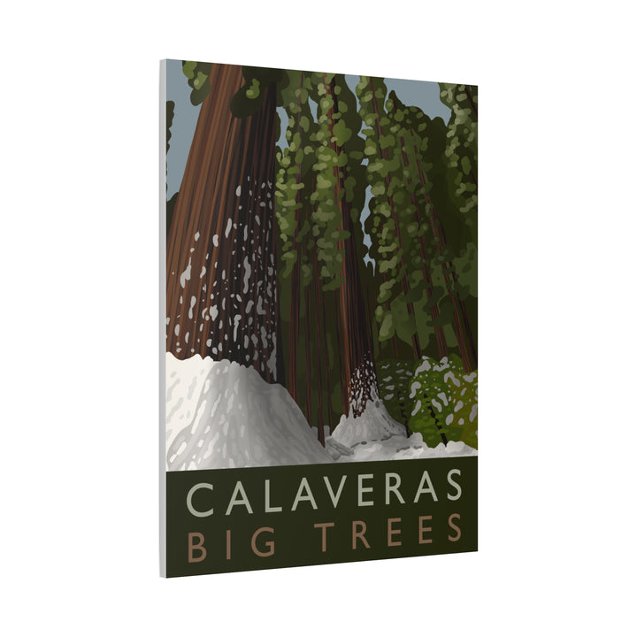 Calaveras Big Trees Canvas Print – Wall Art