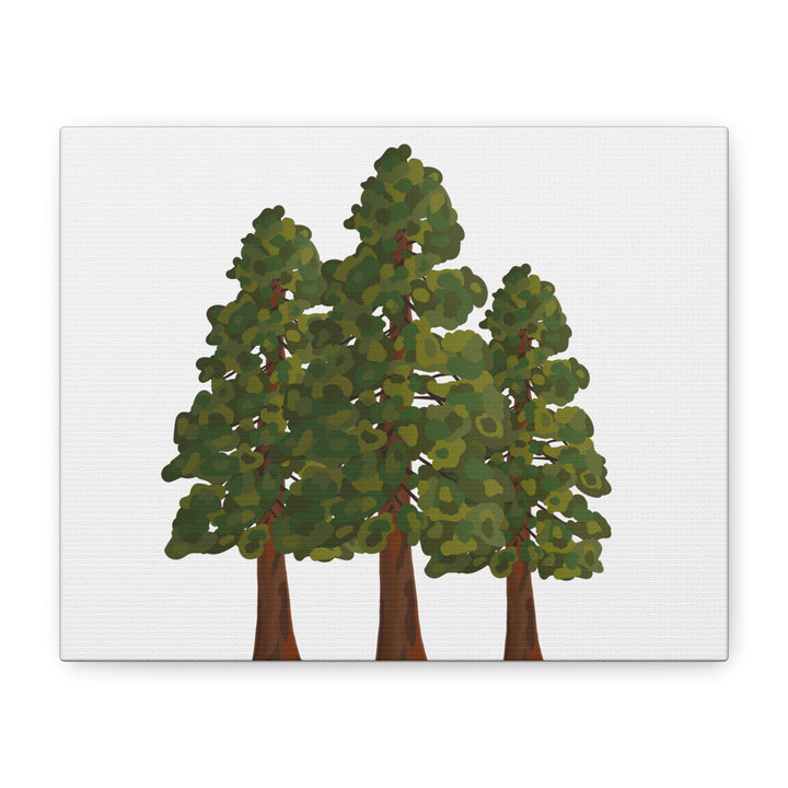 Coastal Redwoods Matte Canvas Print On 1.25 Inch Stretched Canvas For Serene Forest Wall Art In Living Rooms
