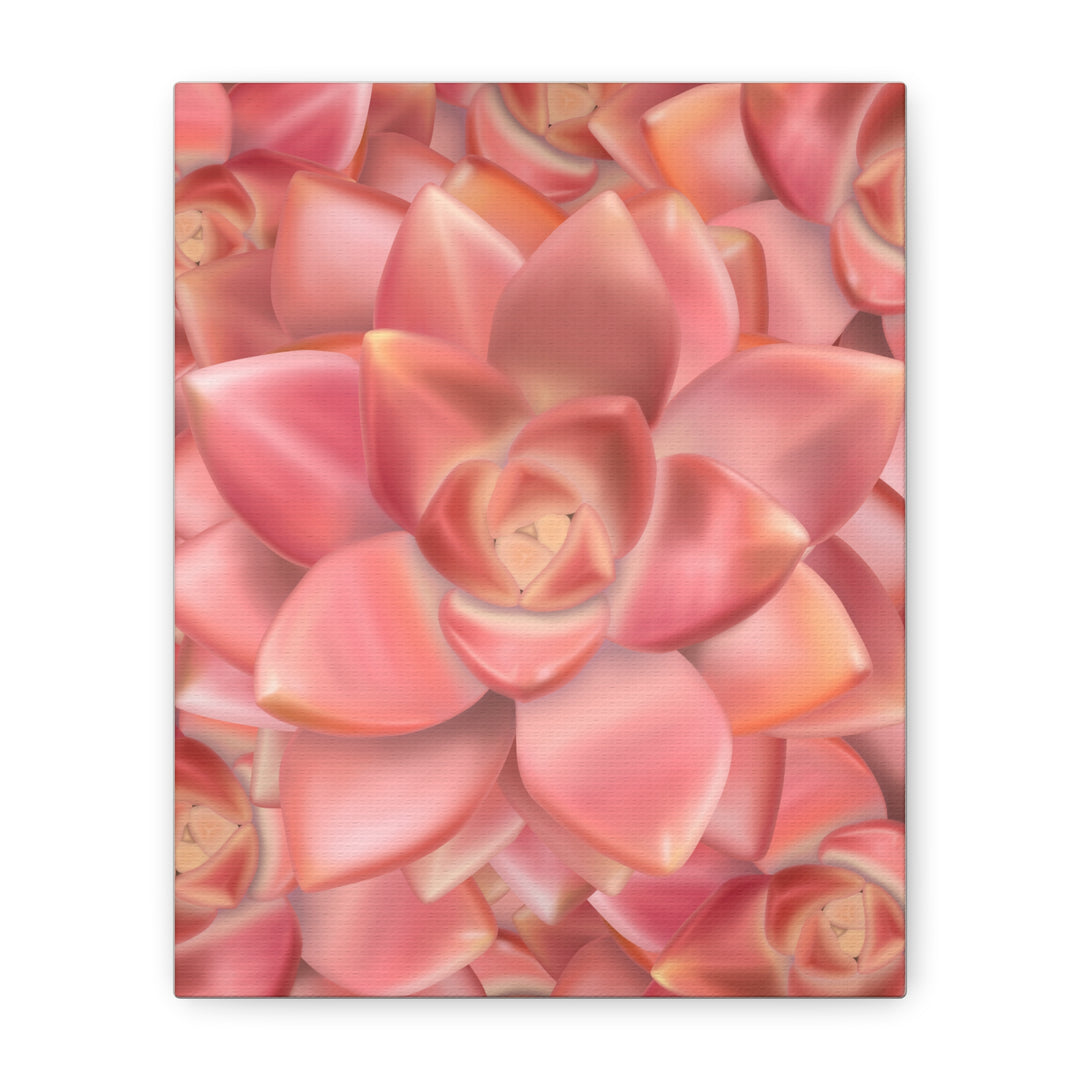 Graptosedum California Sunset Succulent Canvas Print – Botanical Wall Art - The Potted Pixel