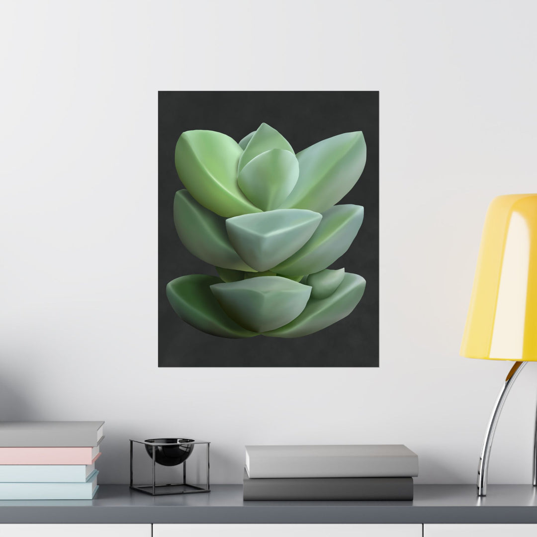 Crassula Botanical Print – Unframed Wall Art