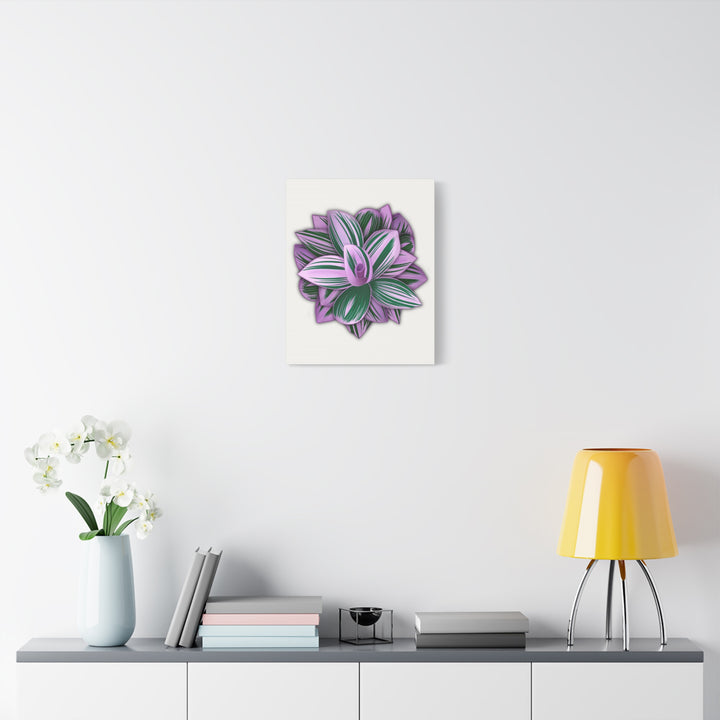 Tradescantia Nanouk Canvas Botanical Wall Art Print Pink Green Foliage On Stretched Cotton Canvas
