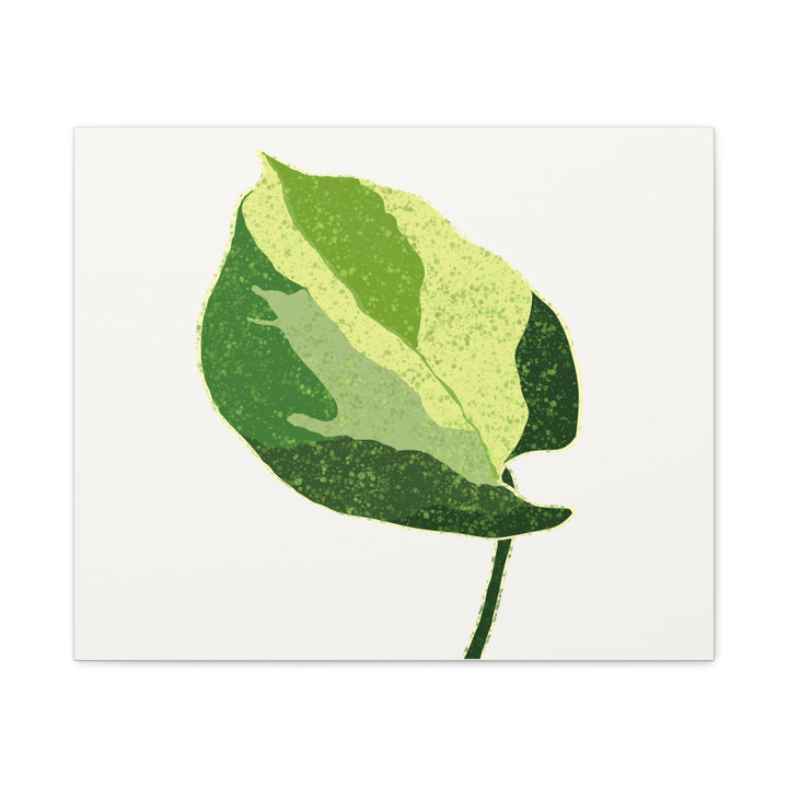 Manjula Pothos Botanical Canvas Print Matte Finish Stretched Canvas Wall Art 1.25 Inch Depth