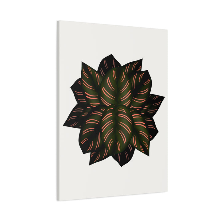 Calathea Pinstripe Canvas Botanical Wall Art Print On Stretched Cotton Canvas For Living Room Decor