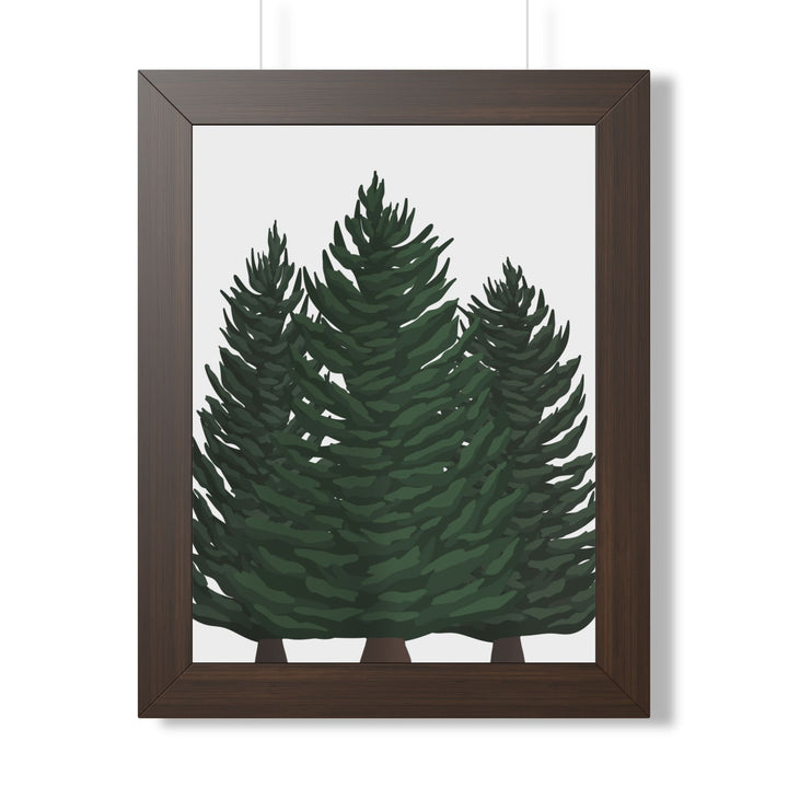 Douglas Fir Framed Print – Wall Art