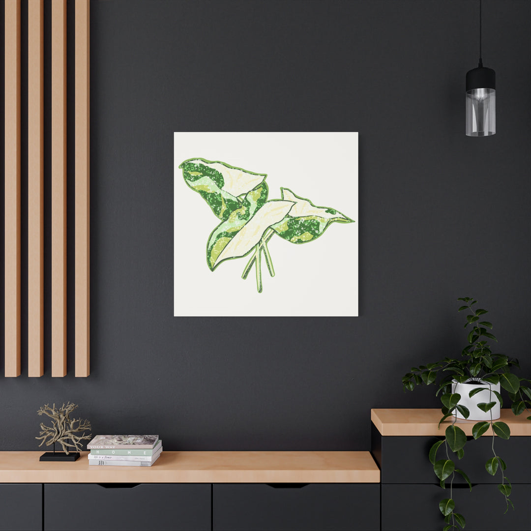 Marble Syngonium Canvas Botanical Wall Art Stretched Print On Durable Cotton Canvas Matte Finish