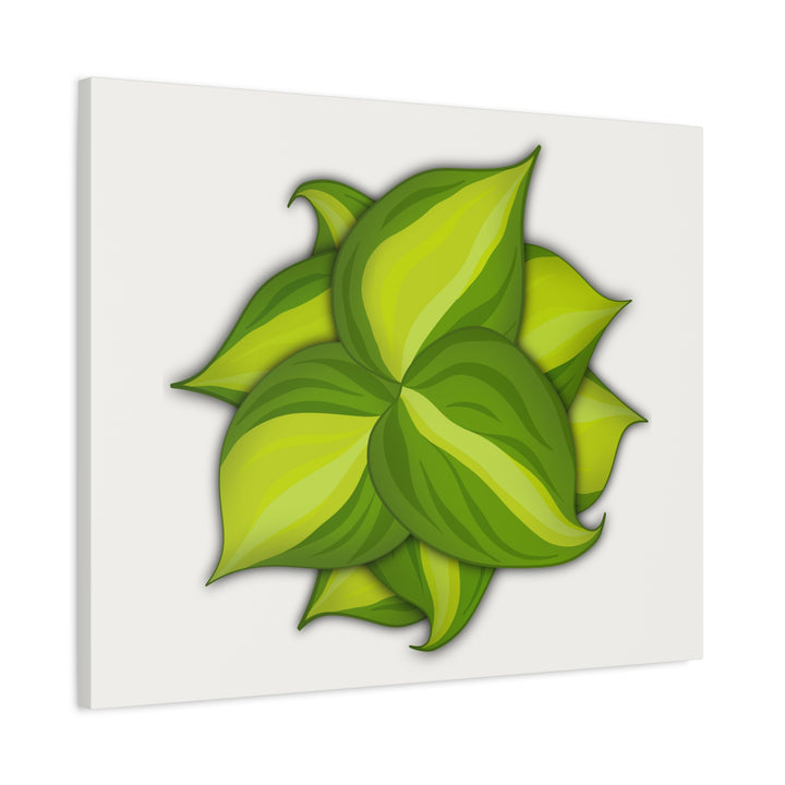 Philodendron Brasil Canvas Print Matte Stretched Canvas Indoor Plant Art For Modern Greenery Decor