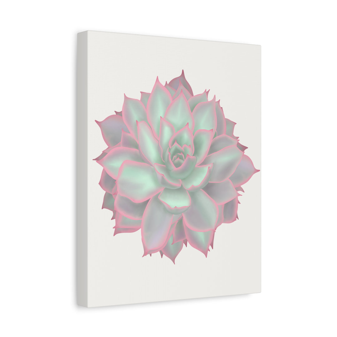 Echeveria Violet Queen Canvas Wall Art Rosette Succulent Print With Matte Finish