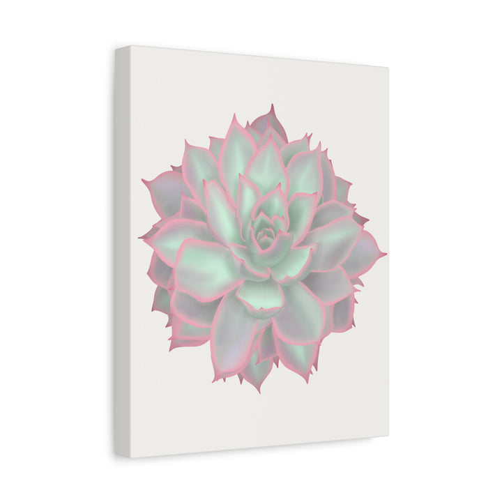 Echeveria Violet Queen Canvas Wall Art Rosette Succulent Print With Matte Finish