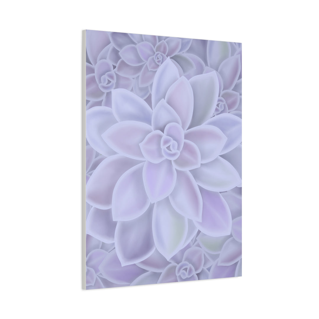 Graptopetalum Murasaki Succulent Canvas Art Print Pastel Purple Rosette Indoor Plant Decor