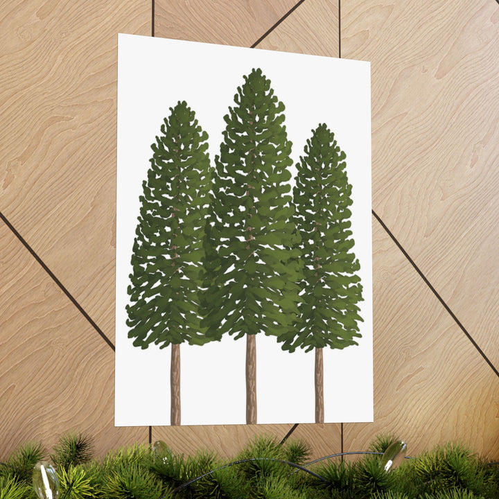 Ponderosa Pine Botanical Print – Unframed Wall Art by Printify