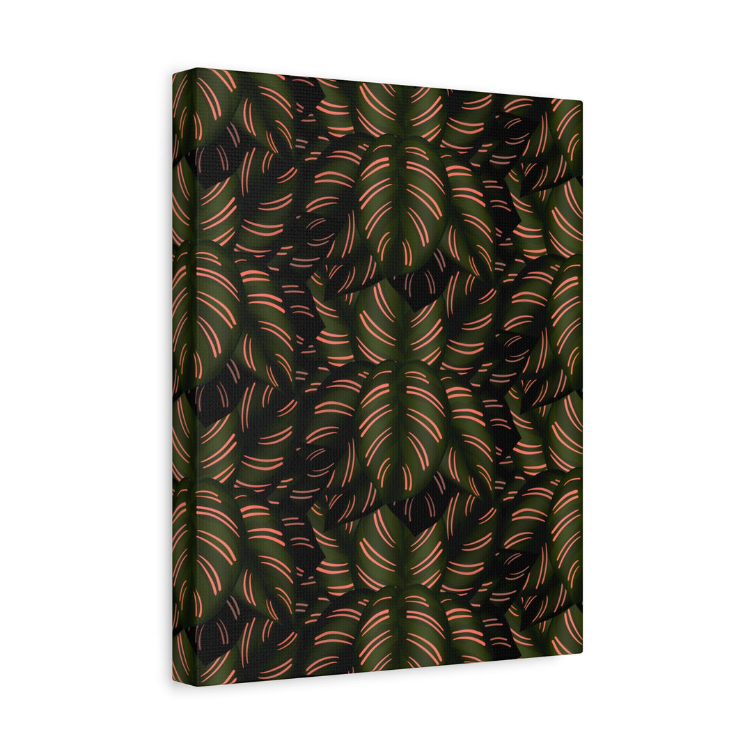 Calathea Pinstripe Canvas Print With Matte Finish Stretched Botanical Wall Art For Living Room Decor