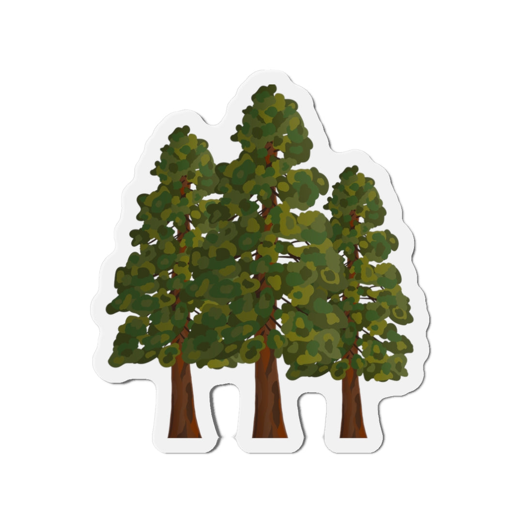 Coast Redwoods Magnet