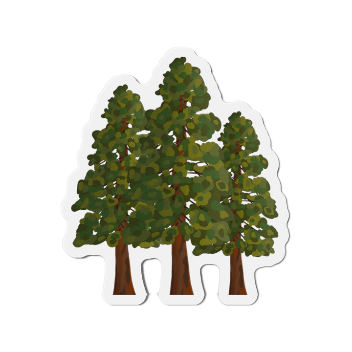 Coast Redwoods Magnet