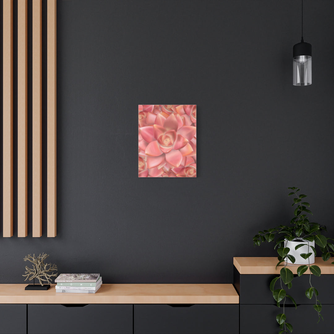 Graptosedum California Sunset Succulent Canvas Print – Botanical Wall Art - The Potted Pixel