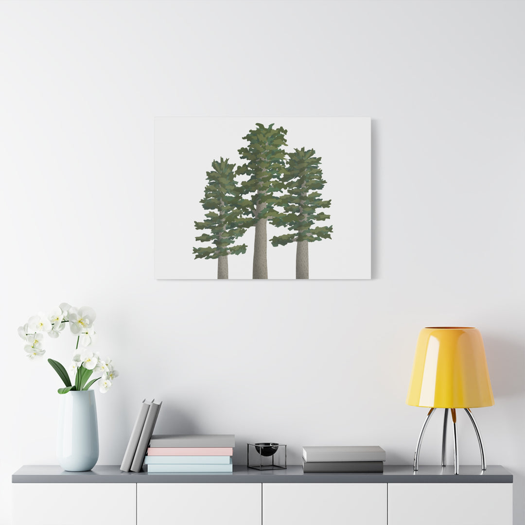 Sitka Spruce Canvas Print – Wall Art