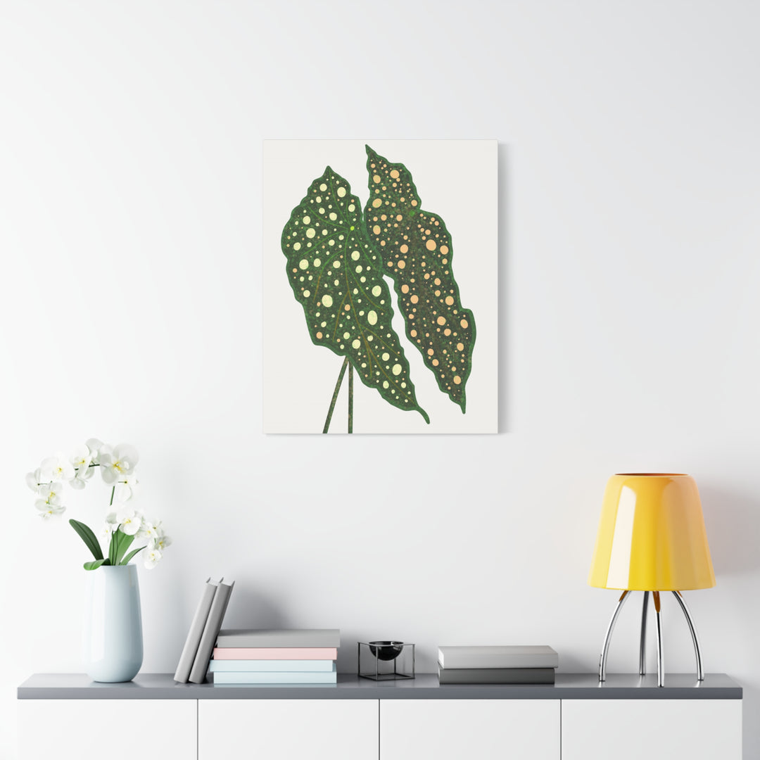 Begonia Maculata Canvas Premium Botanical Wall Art Print On Cotton Canvas With Matte Finish For Indoor Decor