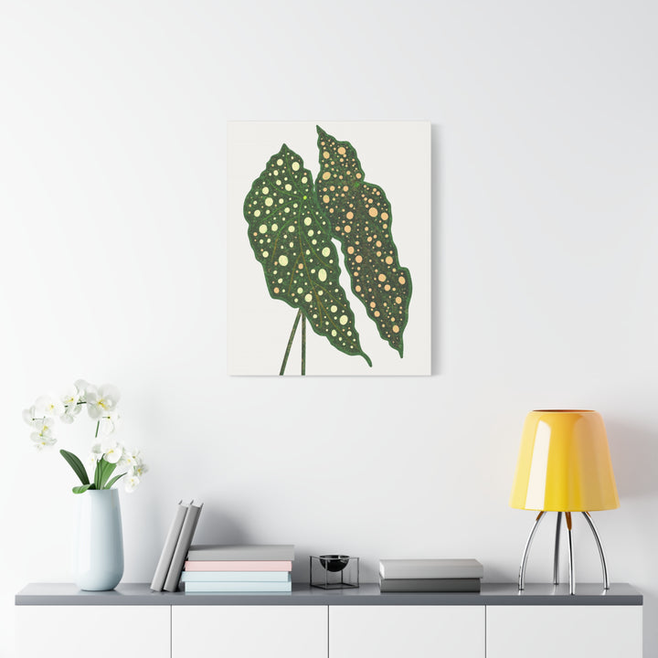 Begonia Maculata Canvas Premium Botanical Wall Art Print On Cotton Canvas With Matte Finish For Indoor Decor