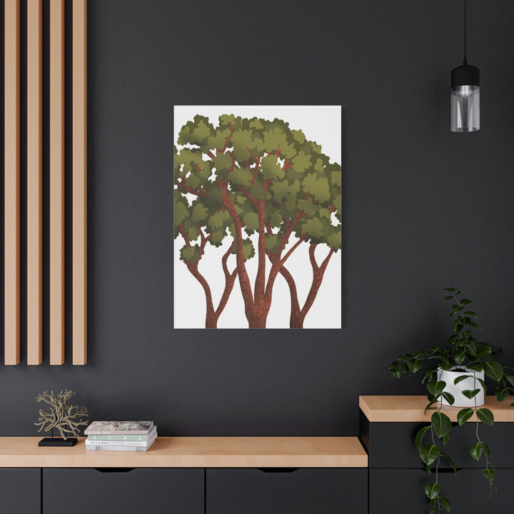 Pacific Madrone Canvas Print – Wall Art