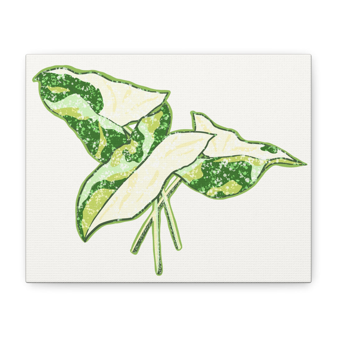 Marble Syngonium Canvas Botanical Wall Art Stretched Print On Durable Cotton Canvas Matte Finish