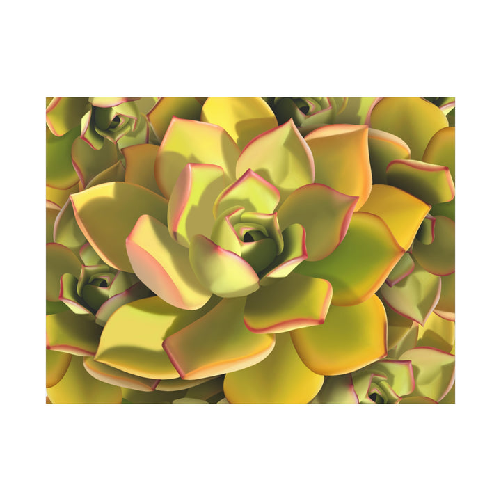 Succulent Canvas Art Vibrant Aeonium Print On Matte Canvas Wall Decor 12x18 Inches Indoor Home