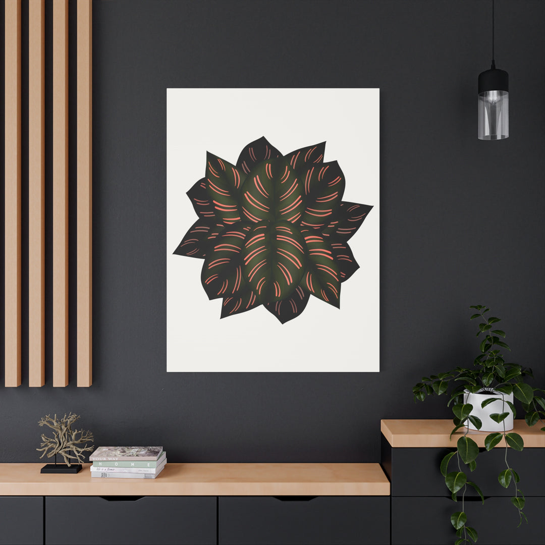 Calathea Pinstripe Canvas Botanical Wall Art Print On Stretched Cotton Canvas For Living Room Decor