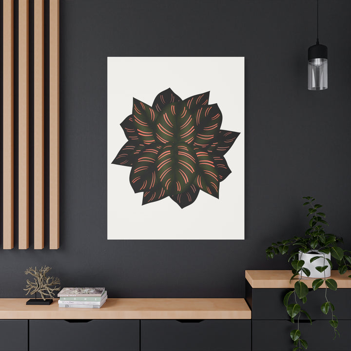 Calathea Pinstripe Canvas Botanical Wall Art Print On Stretched Cotton Canvas For Living Room Decor