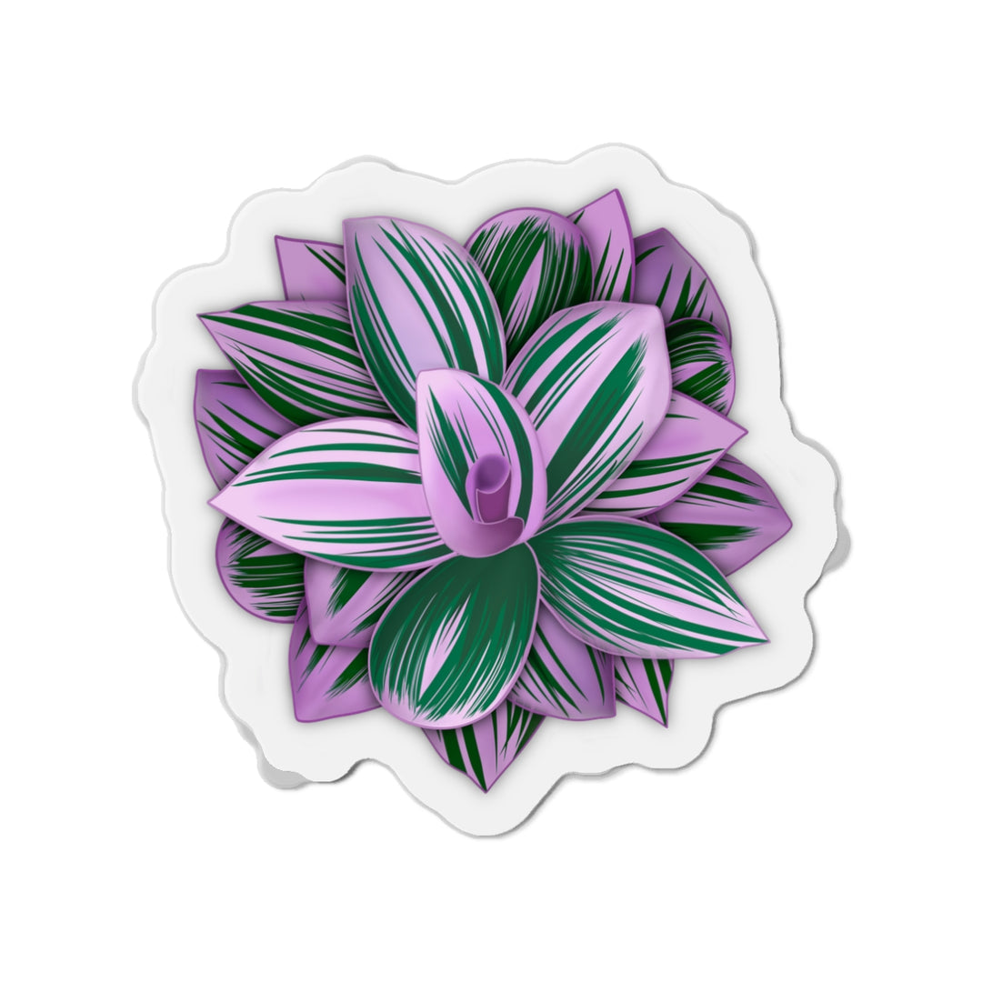 Tradescantia Nanouk Magnet