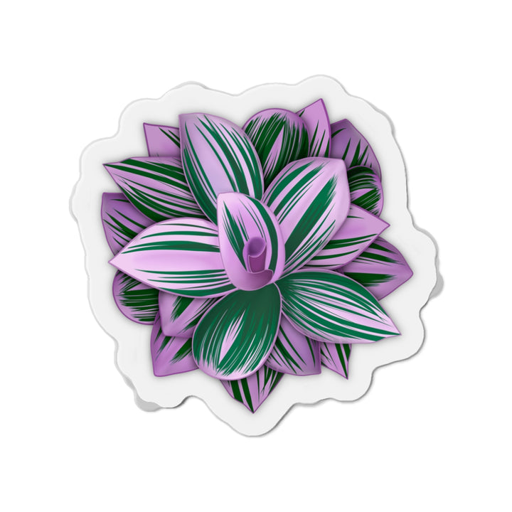 Tradescantia Nanouk Magnet