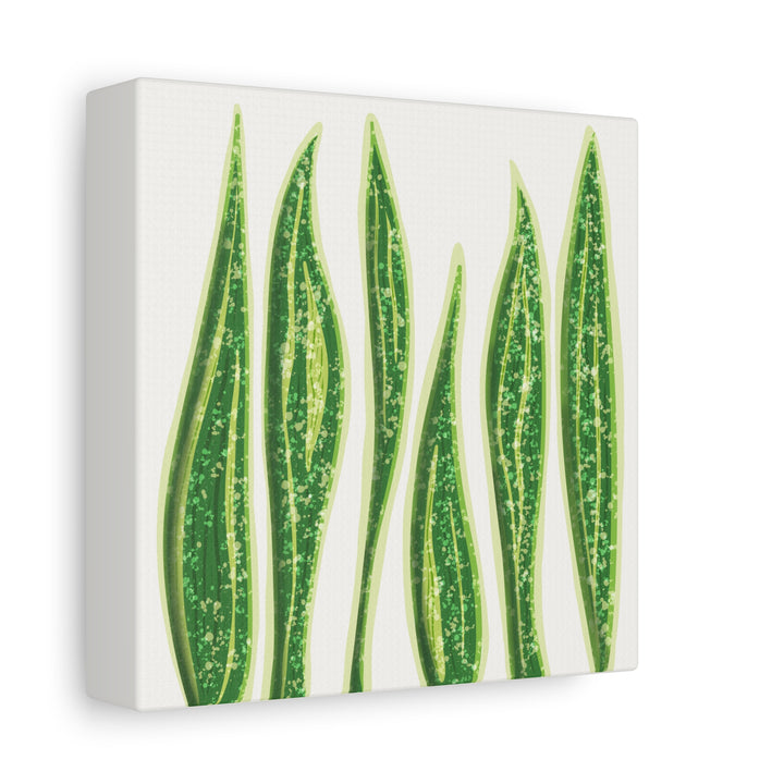 Snake Plant Canvas Print Matte 1.25 Inch Stretch Canvas Wall Art For Living Room Decor