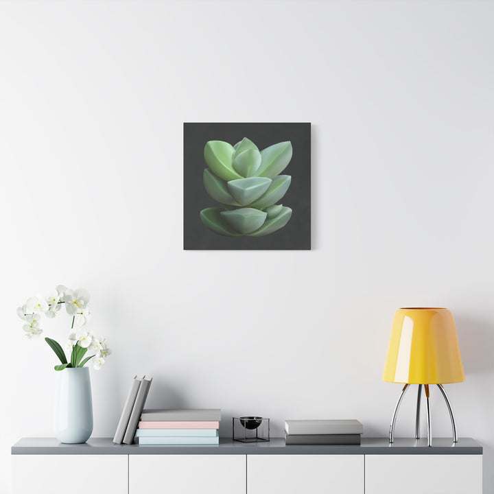 Crassula Canvas Print – Botanical Wall Art
