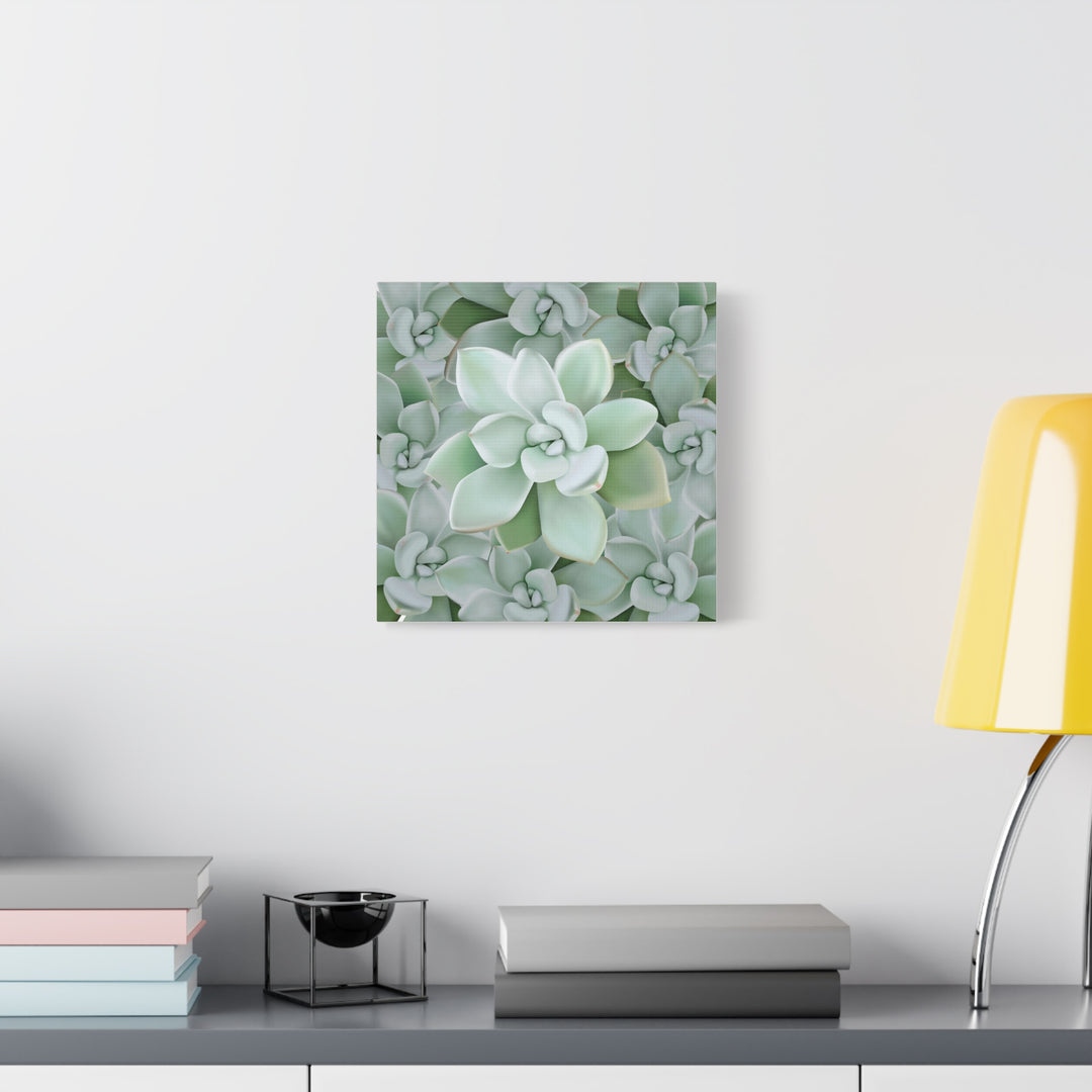 Pachyveria Haagei Succulent Pattern Canvas Art for Modern Home Decor 16x20 Matte Print