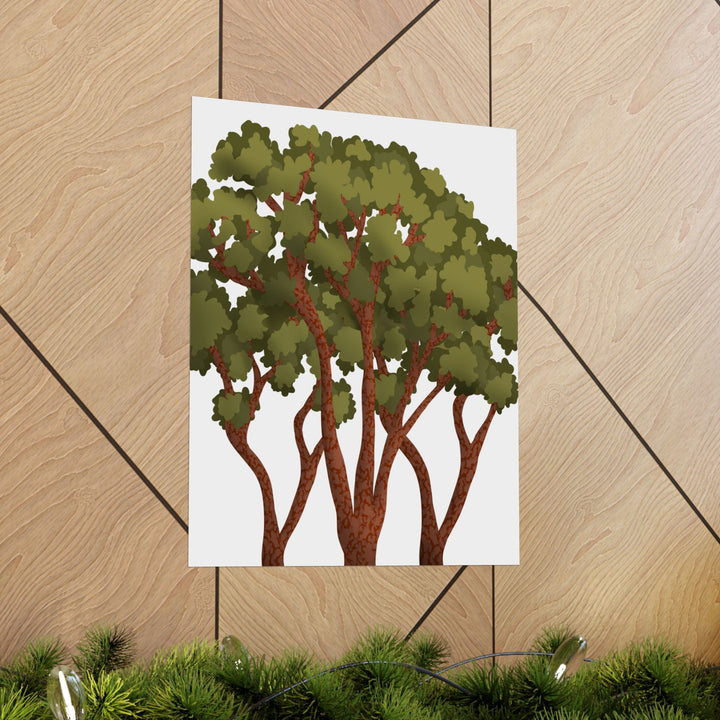 Pacific Madrone Print – Unframed Wall Art