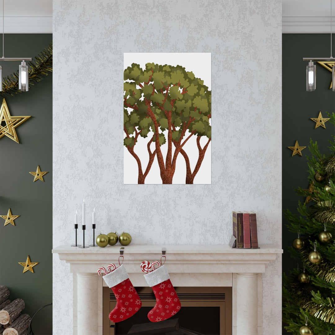 Pacific Madrone Print – Unframed Wall Art