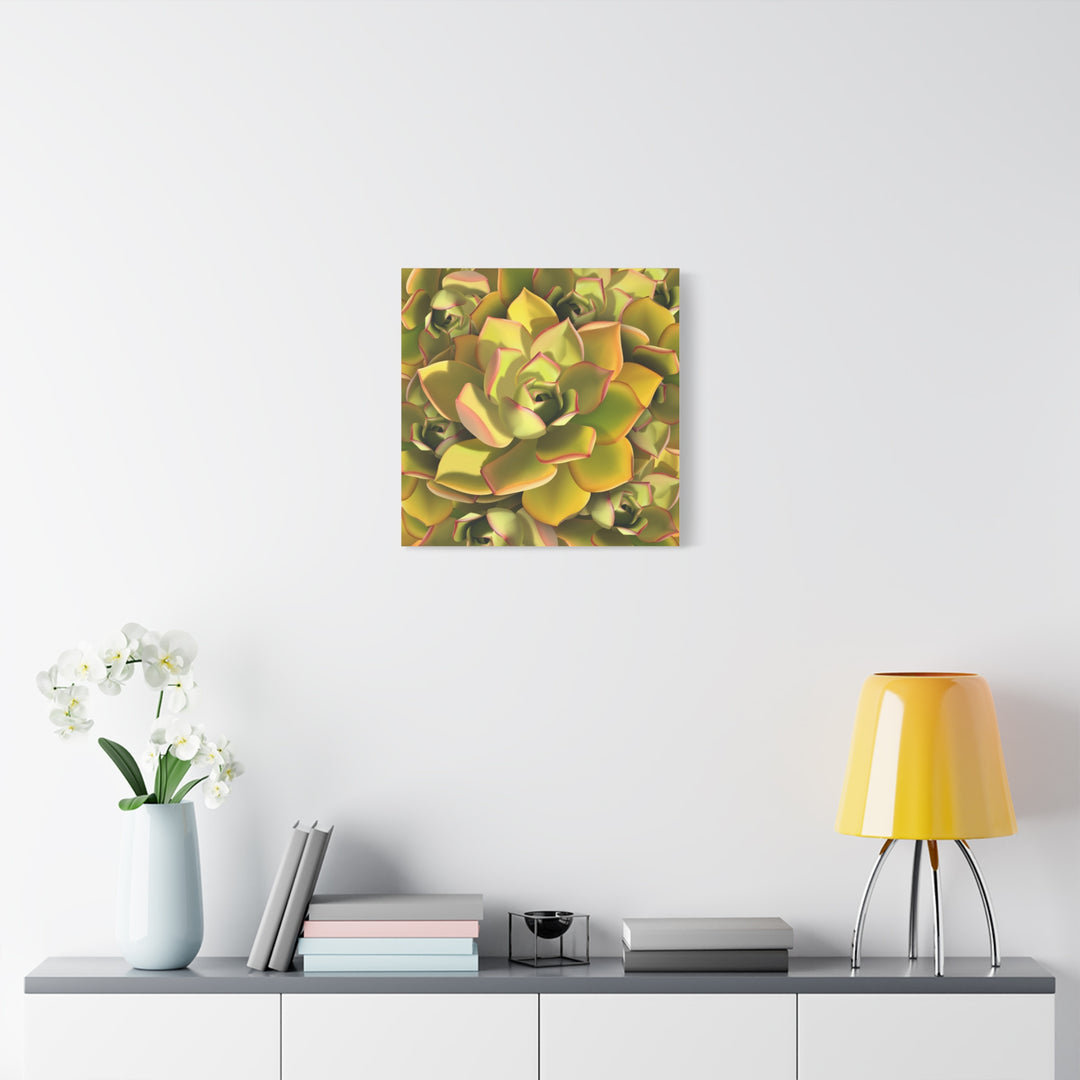 Succulent Canvas Art Vibrant Aeonium Print On Matte Canvas Wall Decor 12x18 Inches Indoor Home