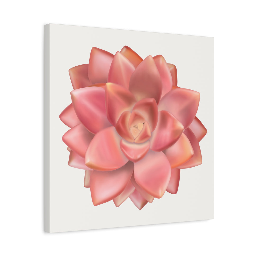 Succulent Canvas Art California Sunset Rosette Botanical Wall Art Print The Potted Pixel