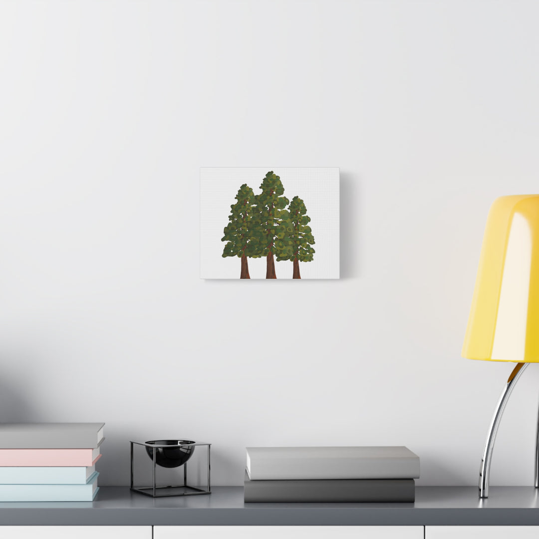 Coastal Redwoods Matte Canvas Print On 1.25 Inch Stretched Canvas For Serene Forest Wall Art In Living Rooms
