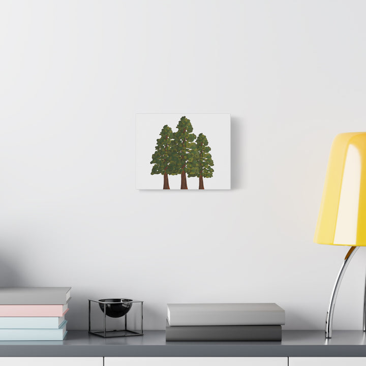 Coastal Redwoods Matte Canvas Print On 1.25 Inch Stretched Canvas For Serene Forest Wall Art In Living Rooms