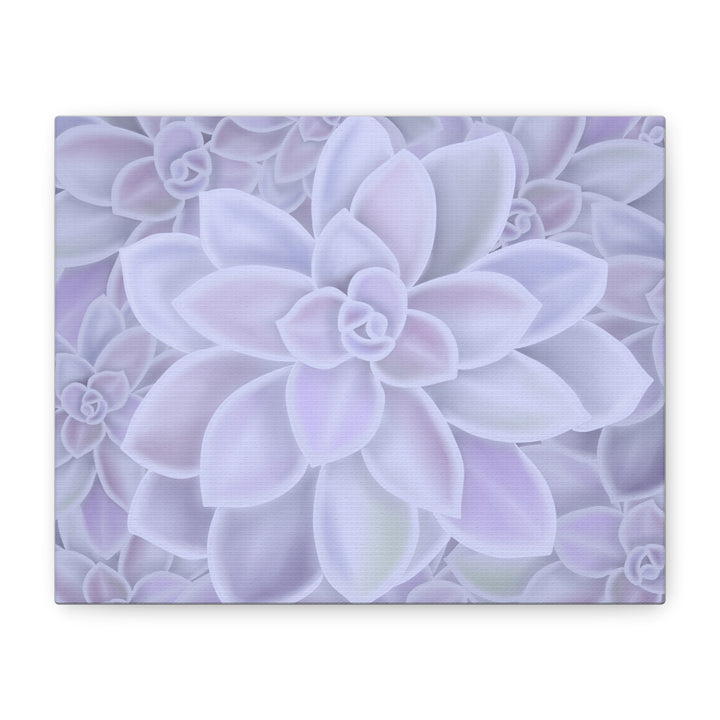 Graptopetalum Murasaki Succulent Canvas Art Print Pastel Purple Rosette Indoor Plant Decor