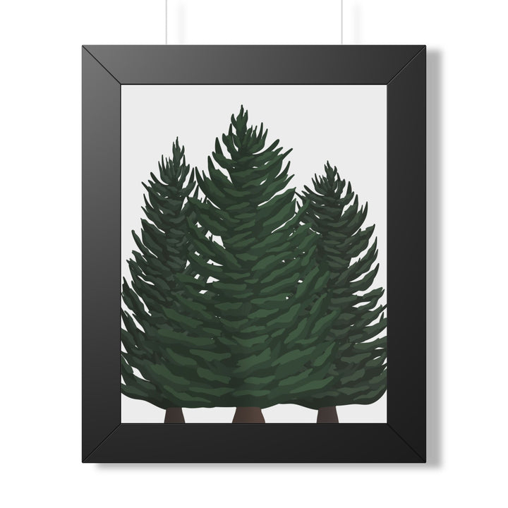 Douglas Fir Framed Print – Wall Art