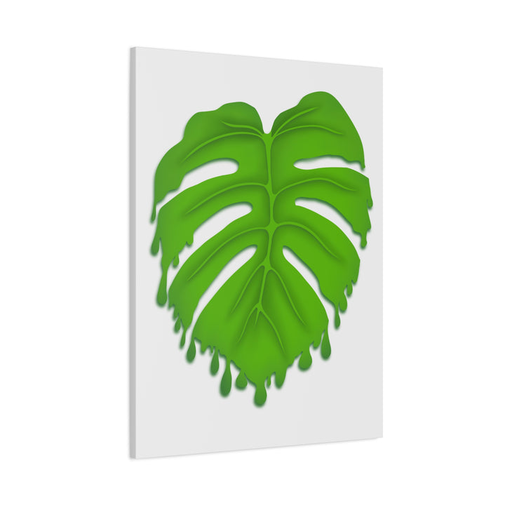 Melting Monstera Canvas Wall Art Large Botanical Print On Premium Cotton With Matte Finish For Indoor Decor