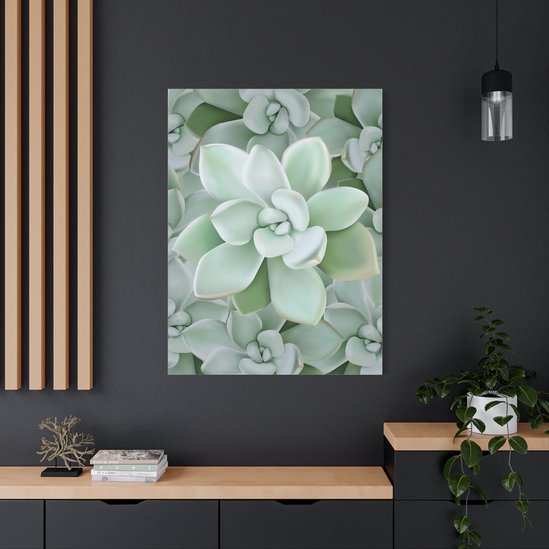Pachyveria Haagei Succulent Pattern Canvas Art for Modern Home Decor 16x20 Matte Print