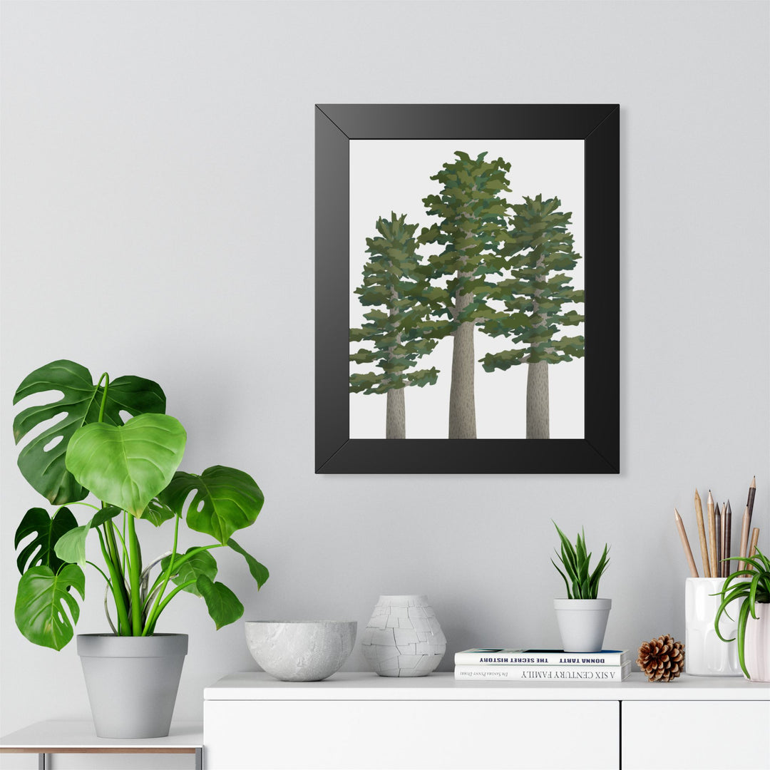 Sitka Spruce Framed Print – Wall Art