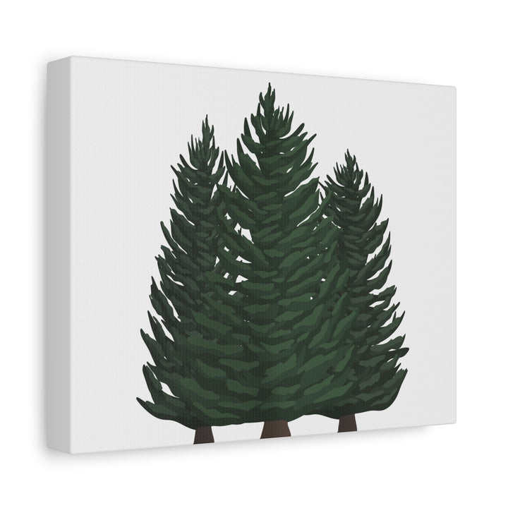Douglas Fir Canvas Print – Wall Art